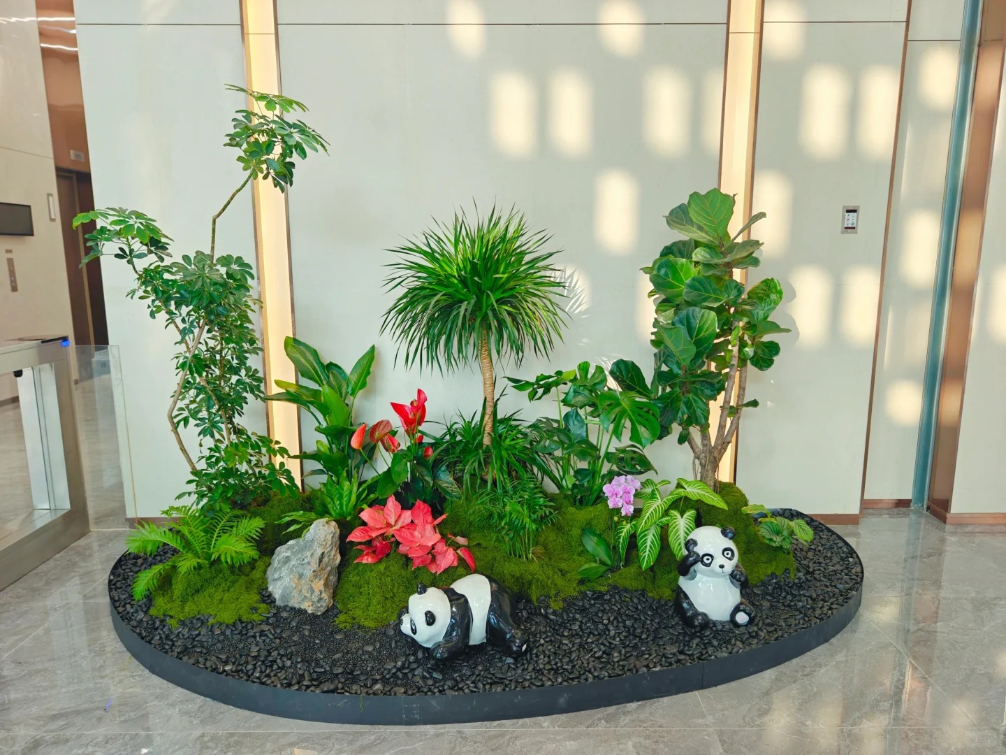 专业植物租赁，宁波奉化的绿色贴心之选