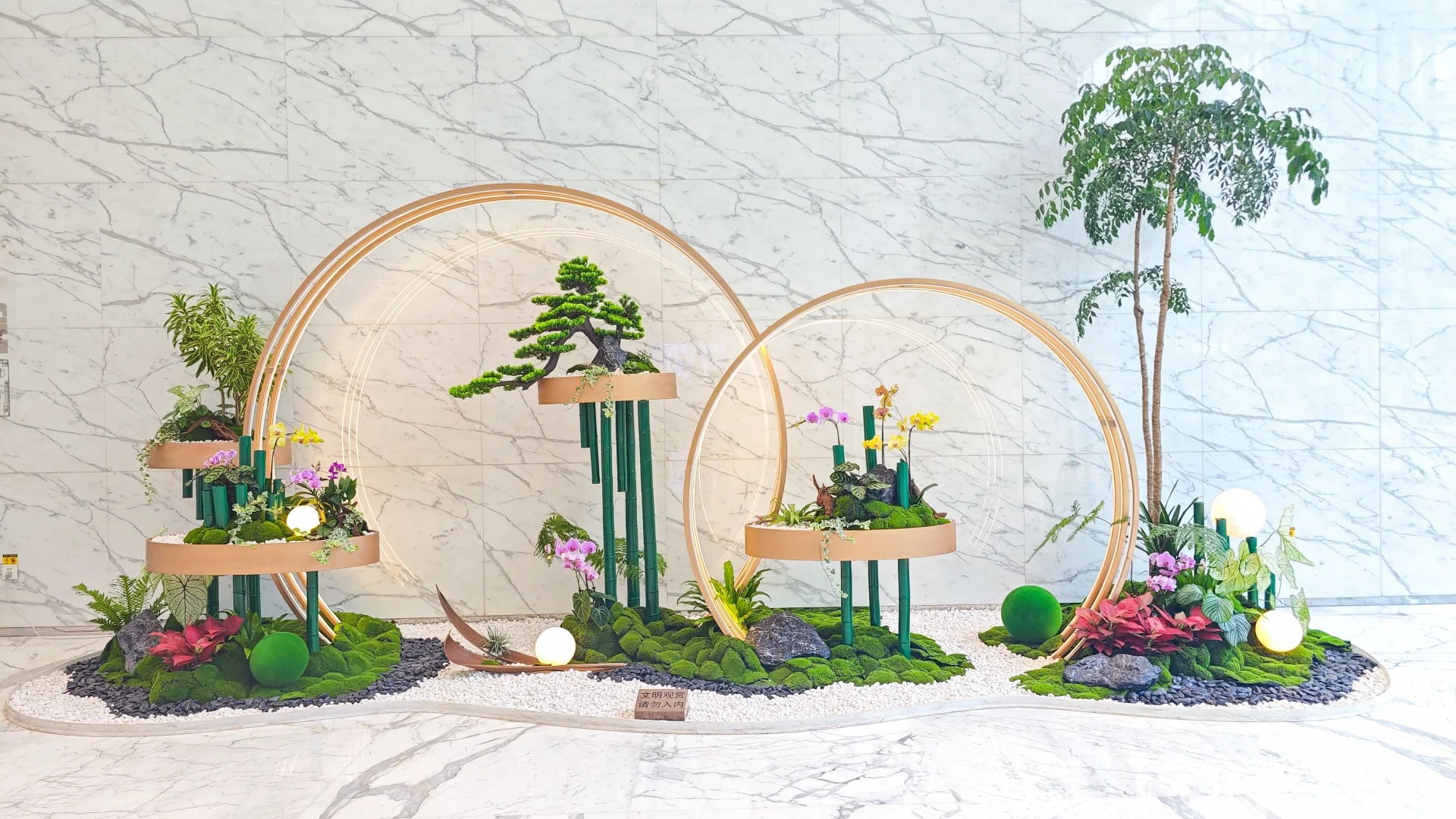 专业盆景出租，为宁波海曙添绿韵