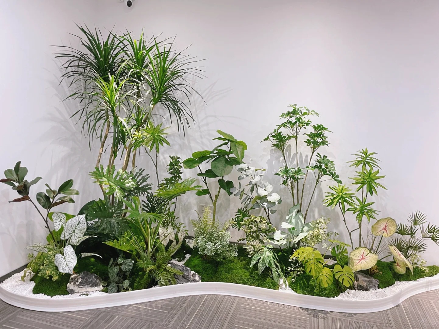 体验宁波鄞州植物租赁，优质服务等你来享！